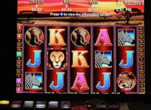 开云足球正式版