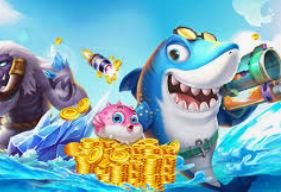 开云足球正式版