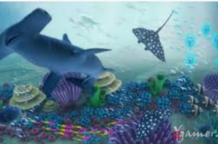 开云足球手机版